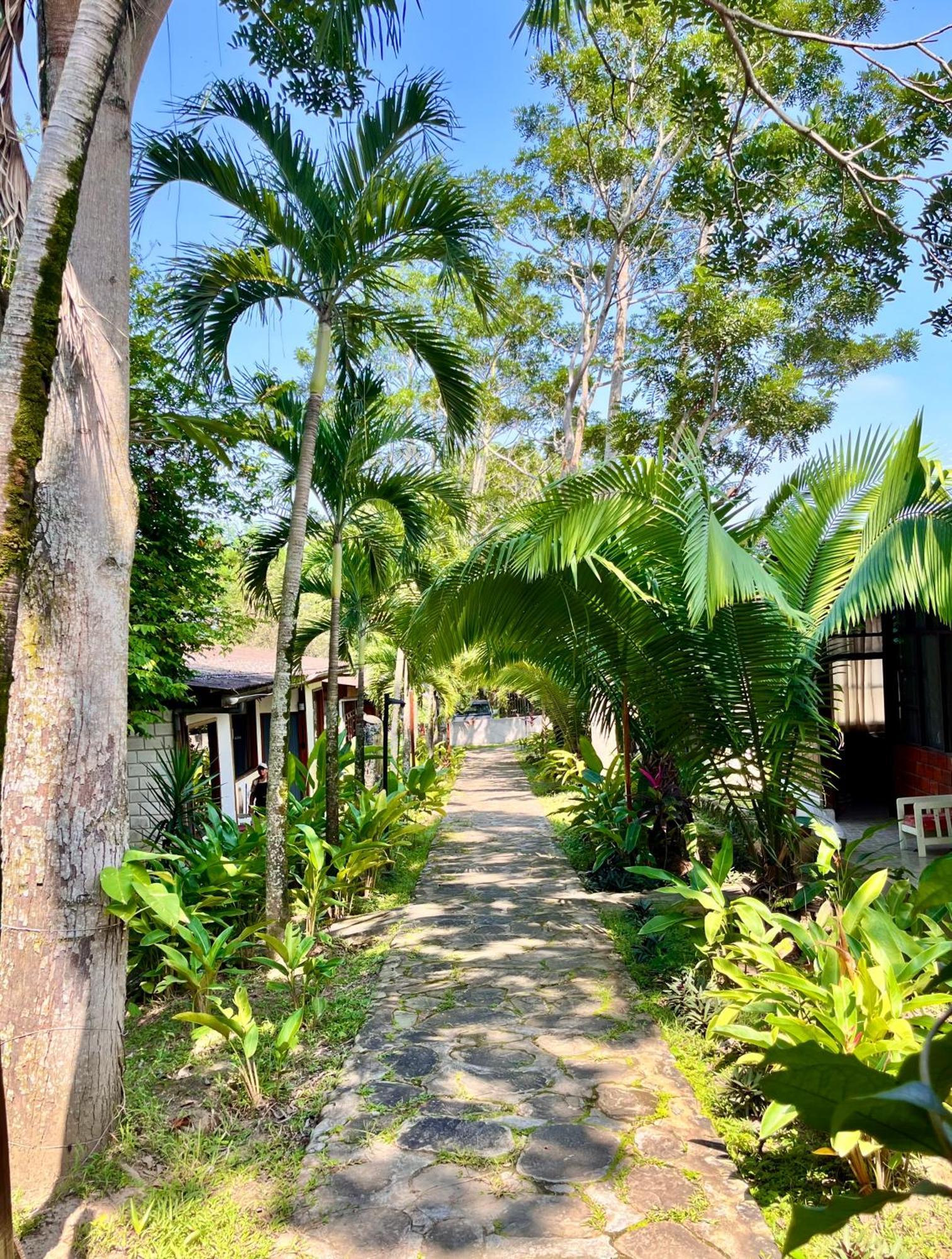 Casabosque Hotel Tarapoto Eksteriør billede
